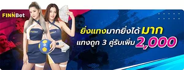 แทงถูกรับเพิ่ม by finnbet